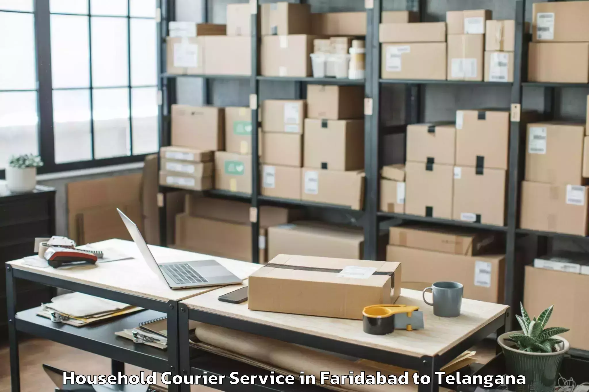 Trusted Faridabad to Mahabubabad Household Courier